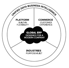 NetSuite Global ERP